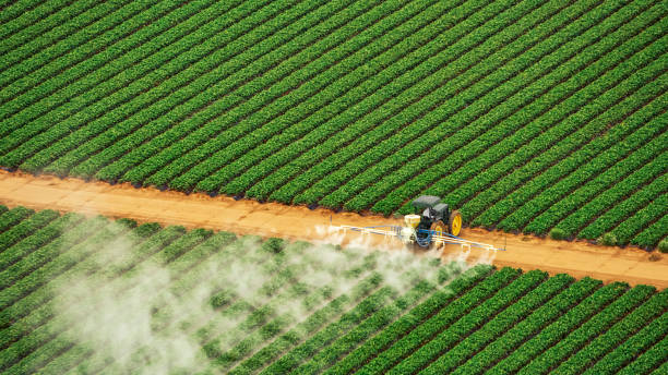 Reliable Moody, AL Pest Control Solutions