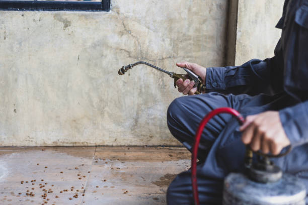 Best Pest Removal Services  in Moody, AL